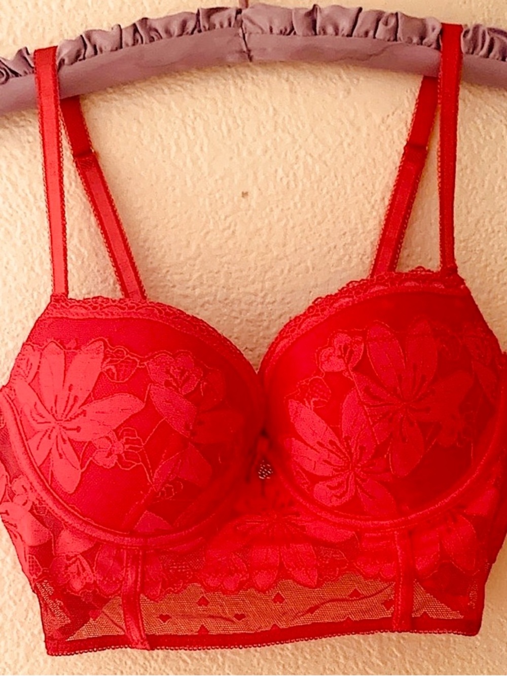 Daisy Fuentes Red Lace Floral Bra